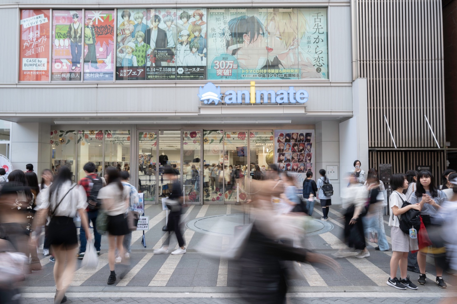 Animate 1